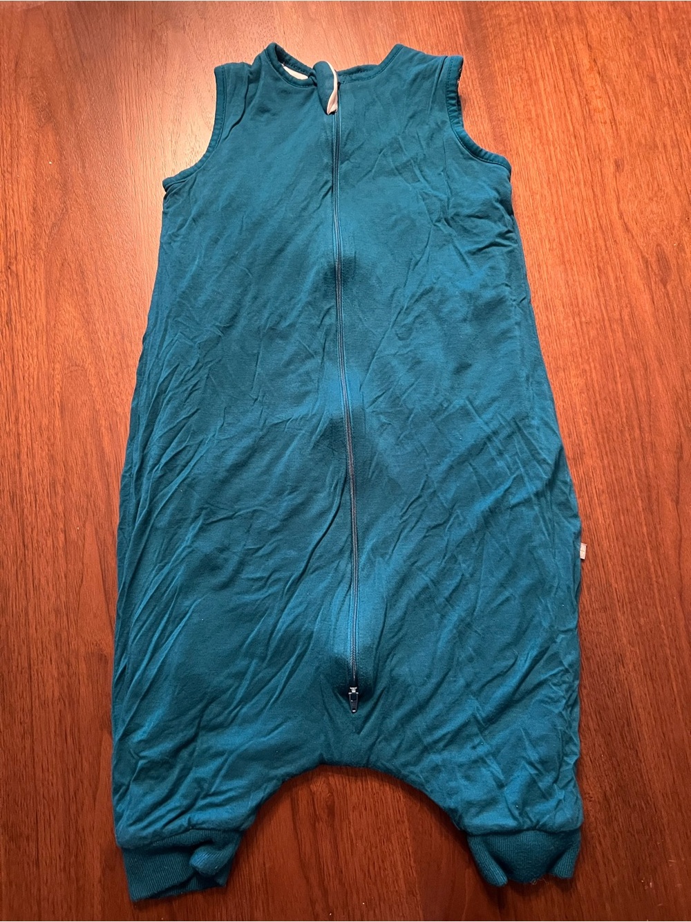 Kyte sleep bag walker